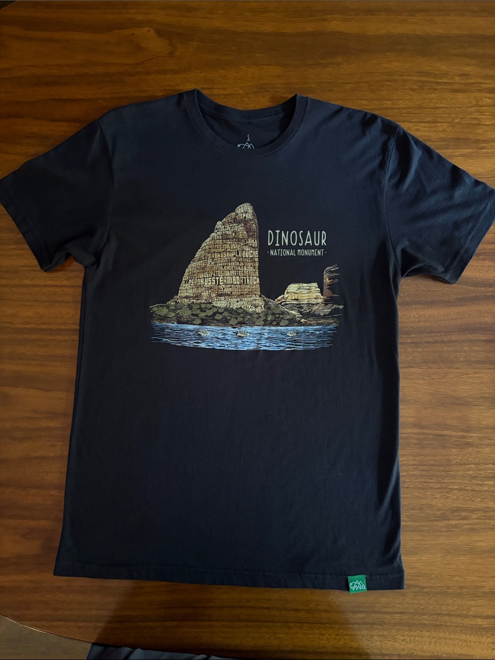 Men's Black Dinosaur National Monument Graphic Tee